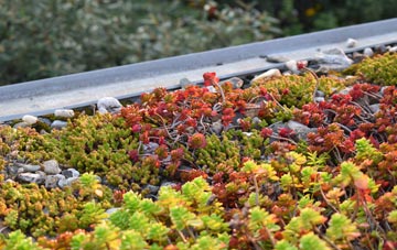 the cost of Holmes green roof installation