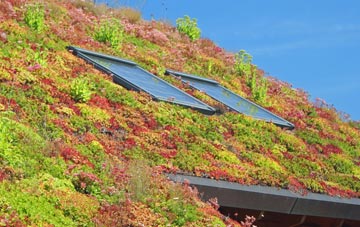 Holmes living roof systems