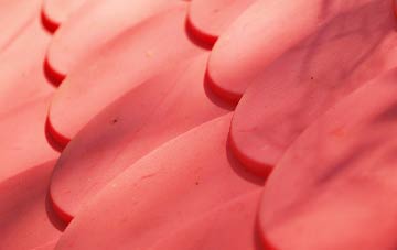 Holmes plastic roof costs