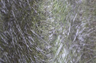 Holmes fibreglass roof work